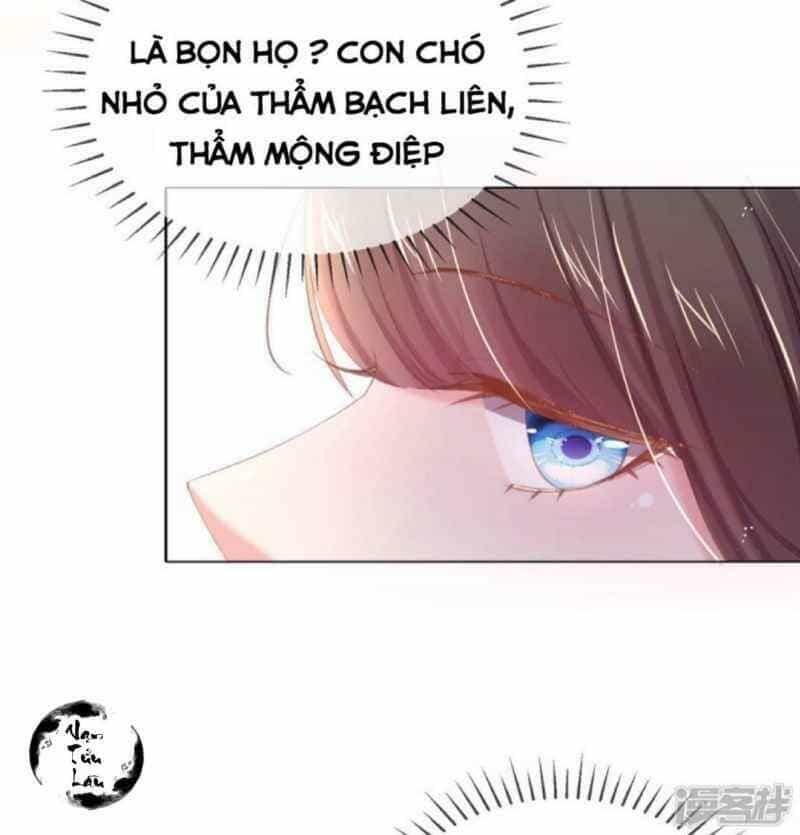 Thị Huyết Y Phi - Chương 41 - ảnh 47