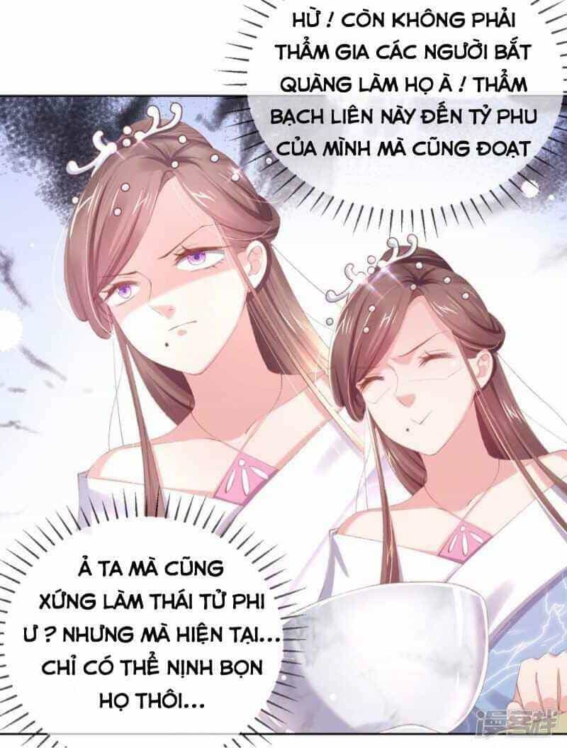 Thị Huyết Y Phi - Chương 42 - ảnh 8