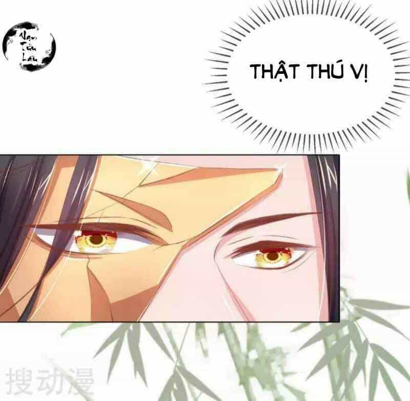 Thị Huyết Y Phi - Chương 45 - ảnh 35