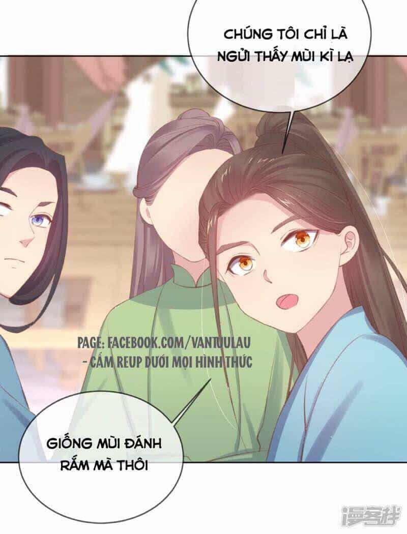 Thị Huyết Y Phi - Chương 47 - ảnh 13