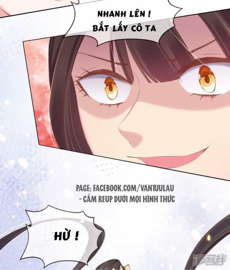 Thị Huyết Y Phi - Chương 49 - ảnh 38