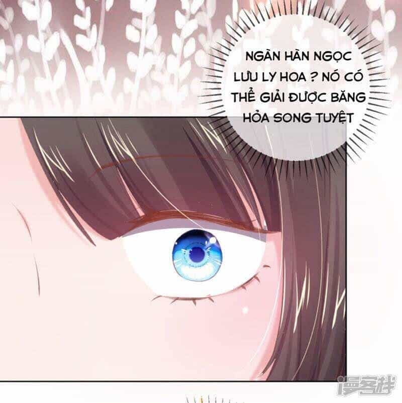 Thị Huyết Y Phi - Chương 54 - ảnh 19