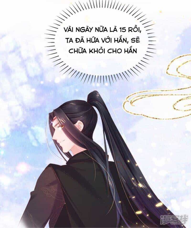 Thị Huyết Y Phi - Chương 54 - ảnh 20