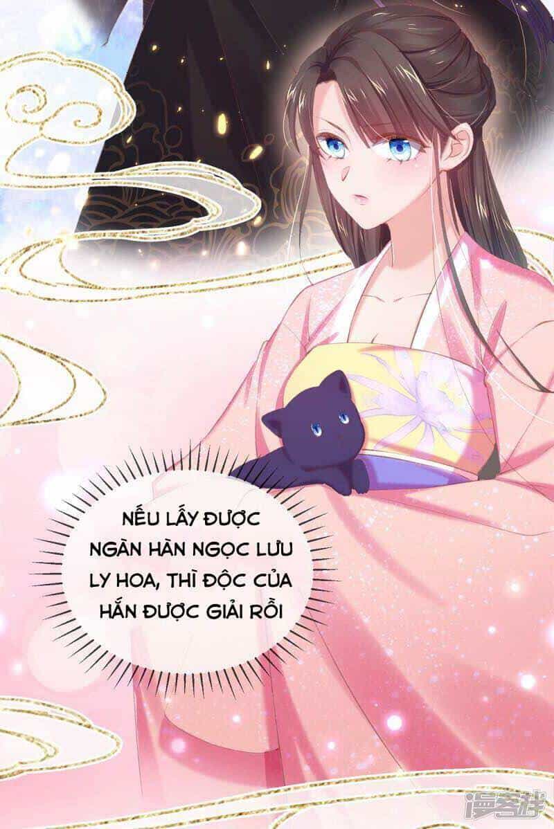 Thị Huyết Y Phi - Chương 54 - ảnh 21