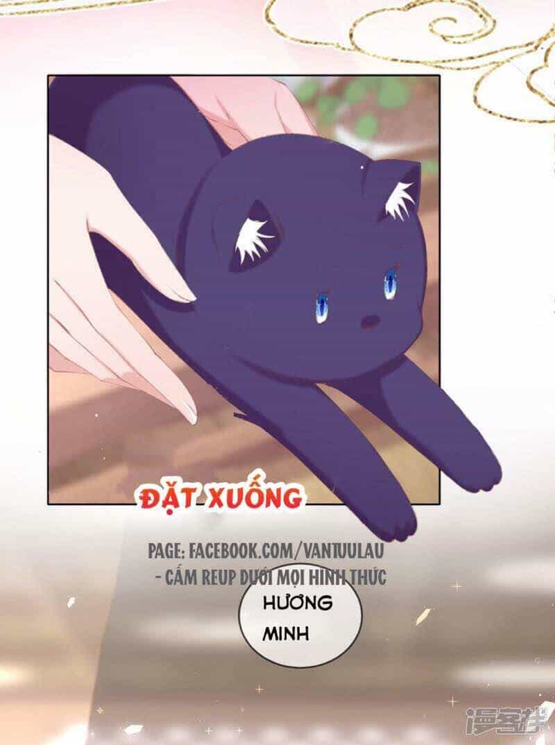 Thị Huyết Y Phi - Chương 54 - ảnh 22