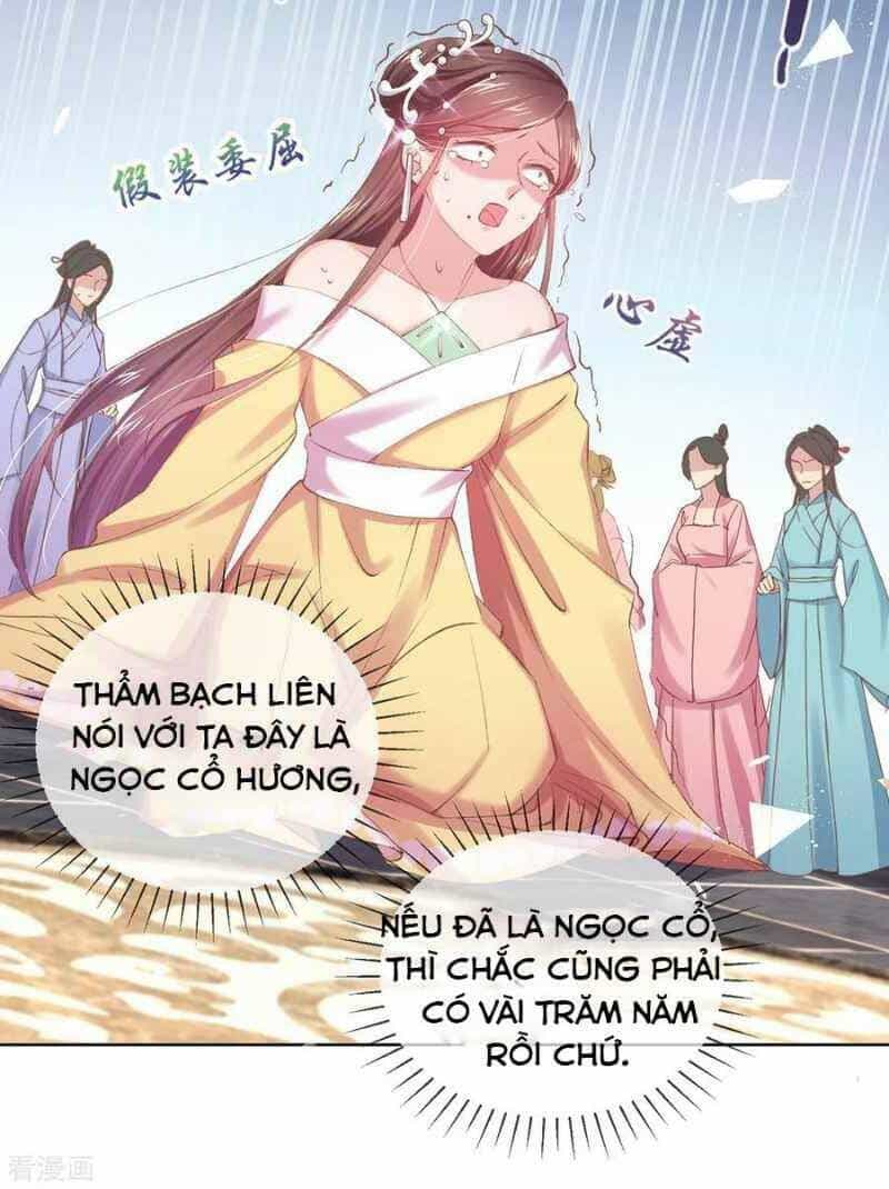 Thị Huyết Y Phi - Chương 60 - ảnh 11