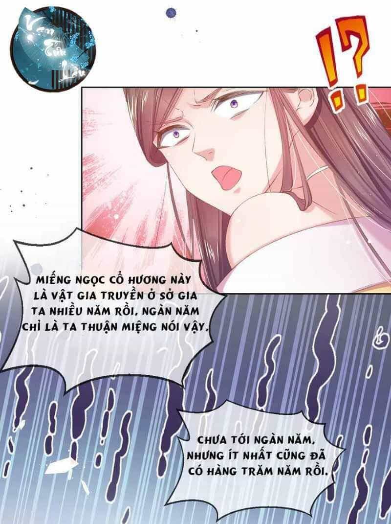 Thị Huyết Y Phi - Chương 60 - ảnh 12