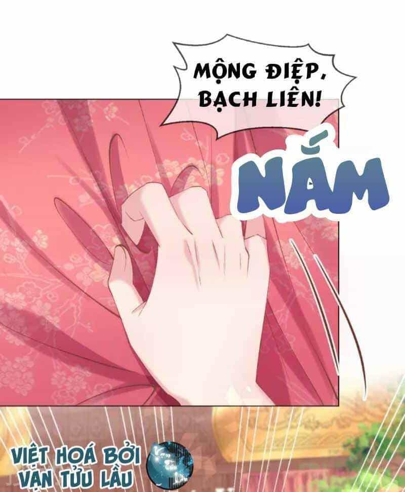 Thị Huyết Y Phi - Chương 61 - ảnh 10
