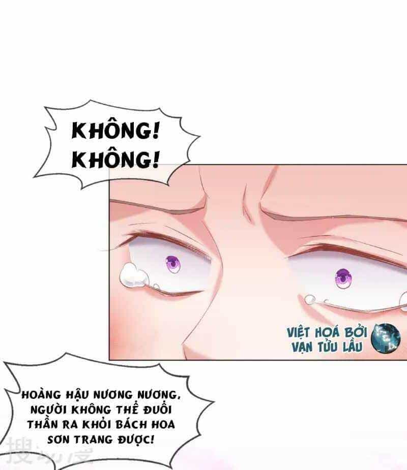 Thị Huyết Y Phi - Chương 61 - ảnh 5