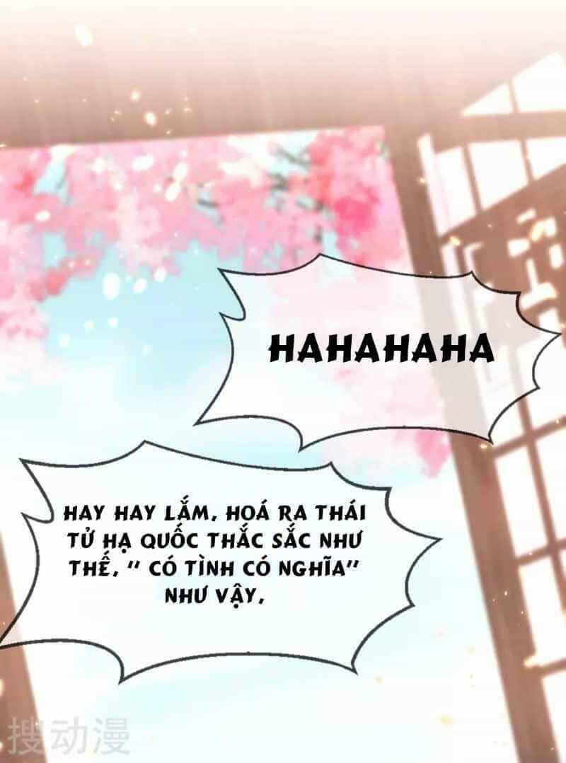 Thị Huyết Y Phi - Chương 65 - ảnh 22