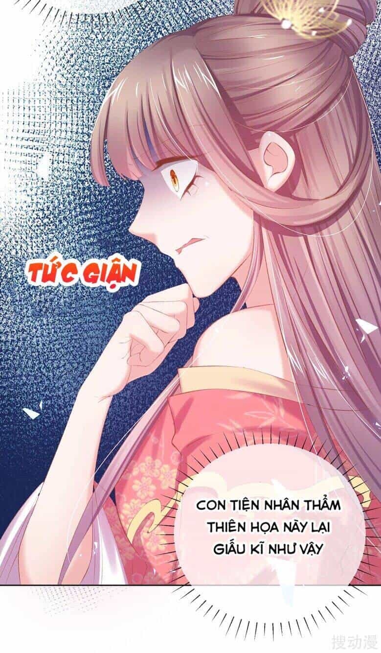 Thị Huyết Y Phi - Chương 66 - ảnh 44