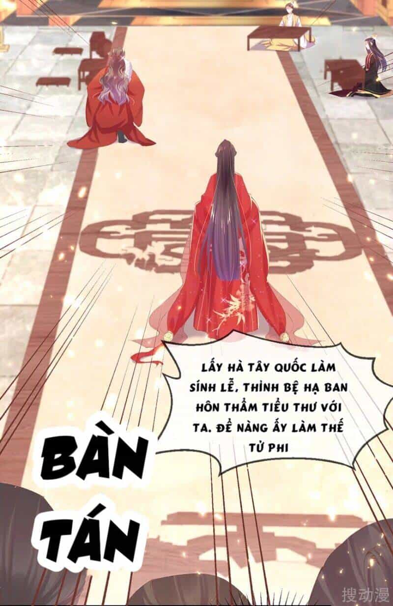 Thị Huyết Y Phi - Chương 66 - ảnh 50