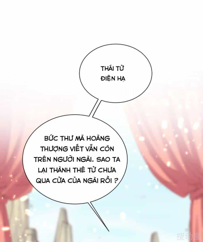 Thị Huyết Y Phi - Chương 67 - ảnh 17