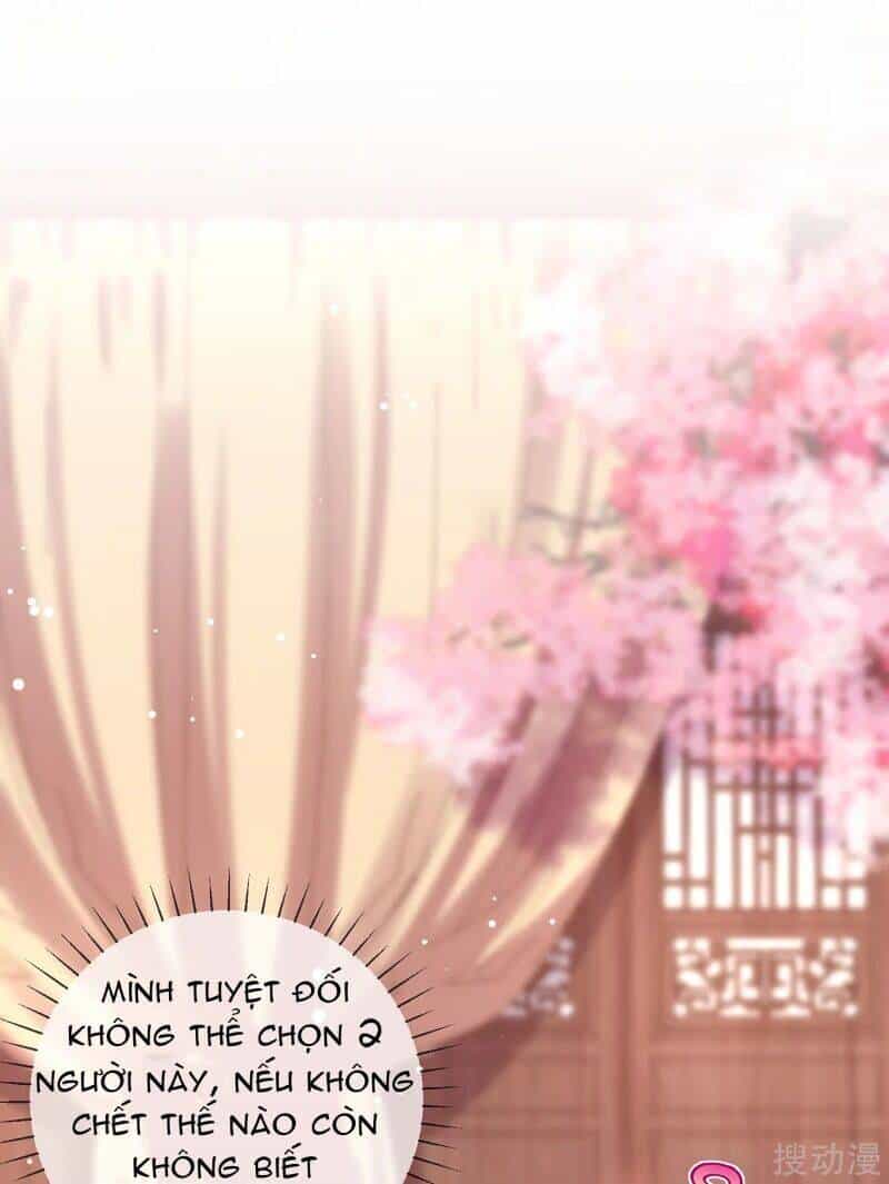 Thị Huyết Y Phi - Chương 69 - ảnh 3