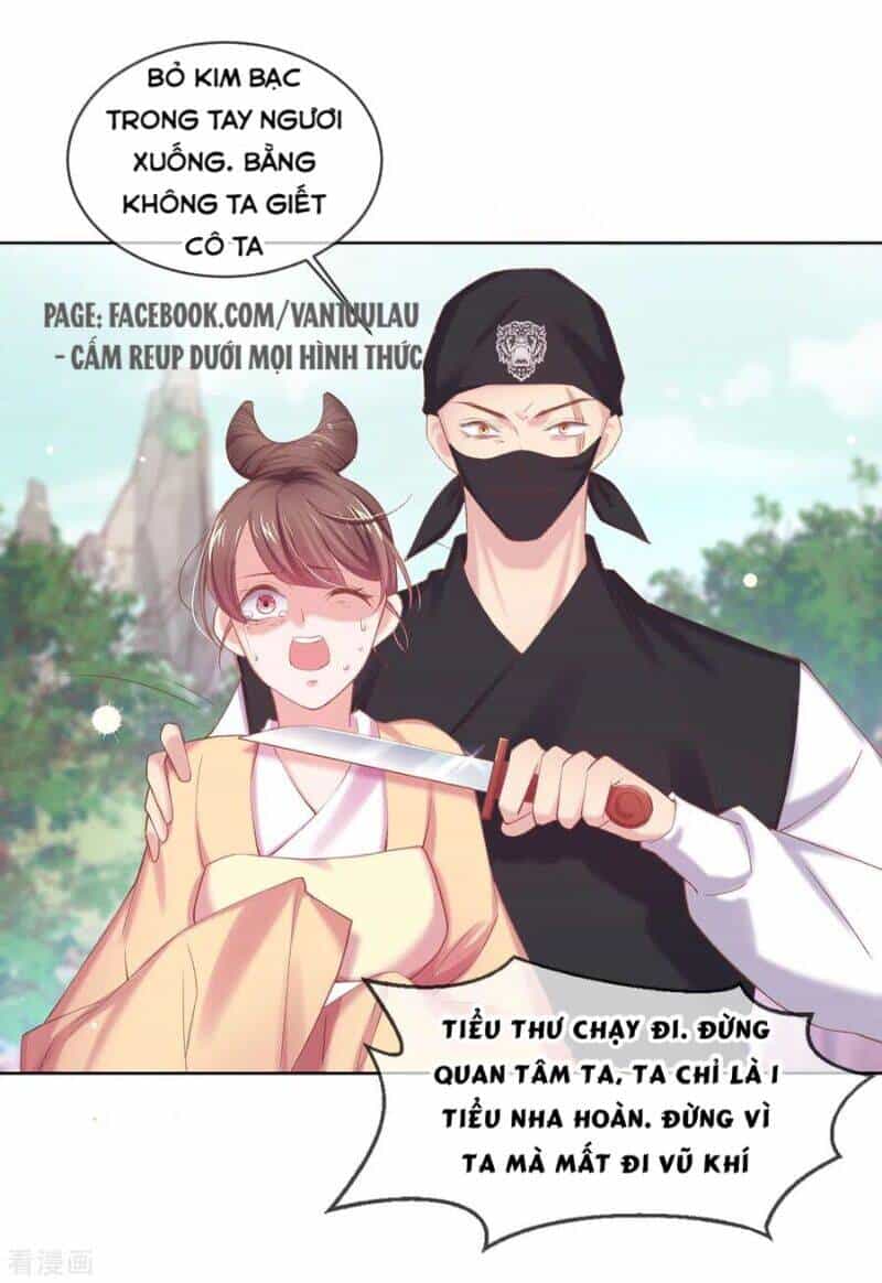Thị Huyết Y Phi - Chương 71 - ảnh 1