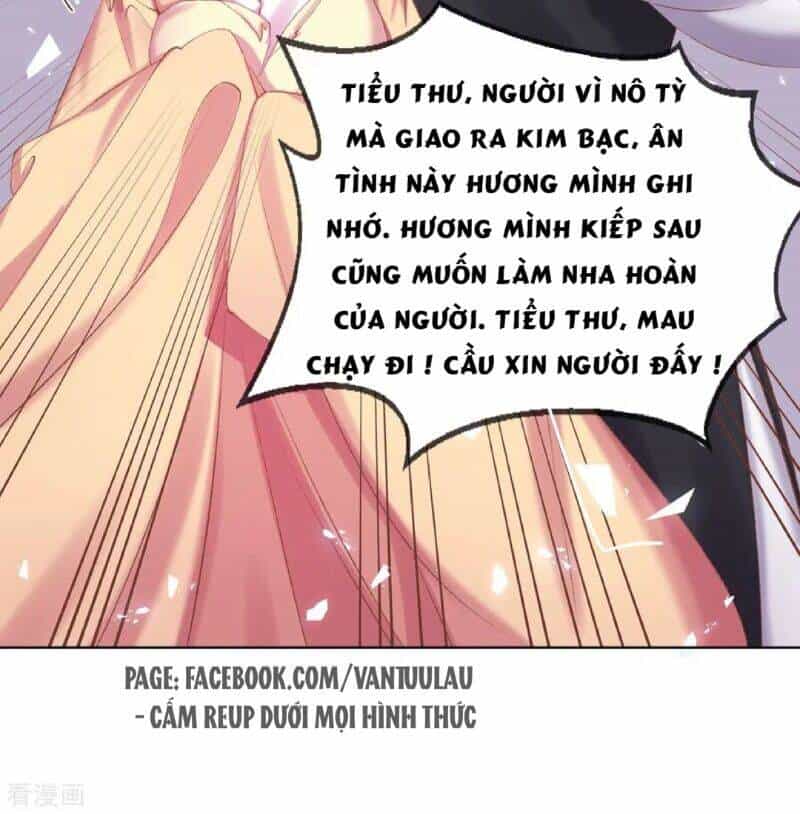 Thị Huyết Y Phi - Chương 71 - ảnh 19