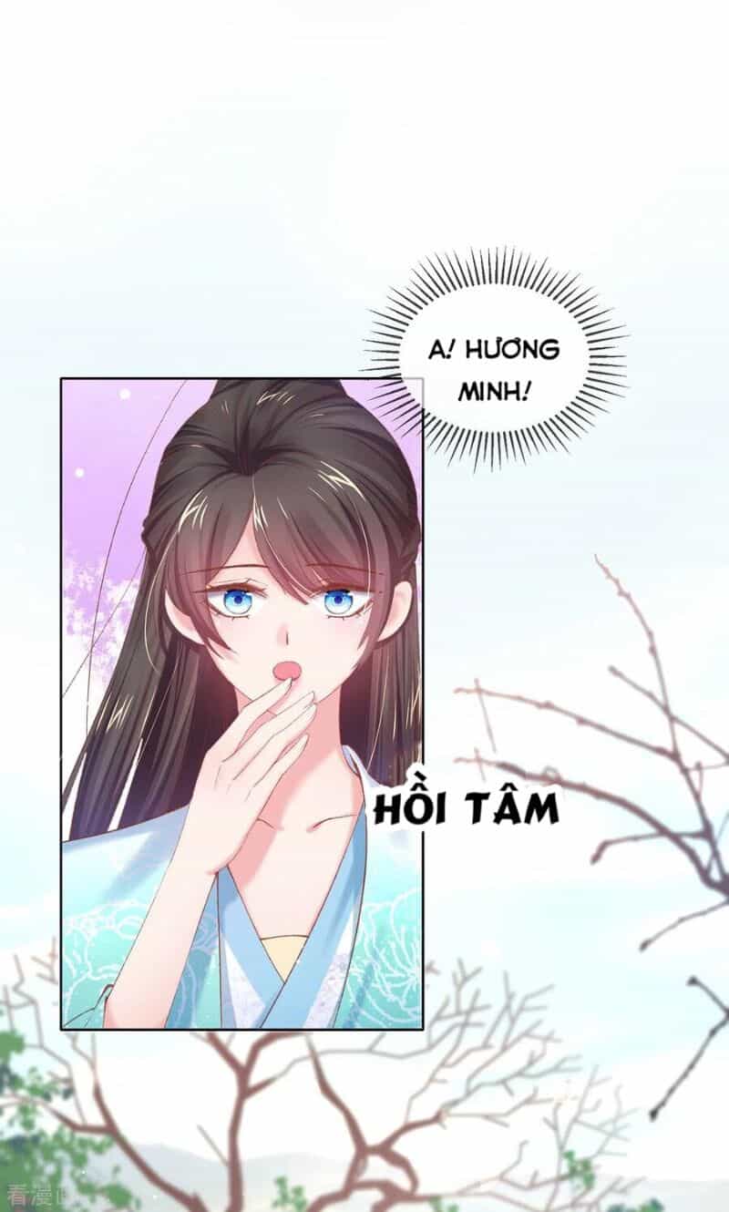 Thị Huyết Y Phi - Chương 73 - ảnh 17
