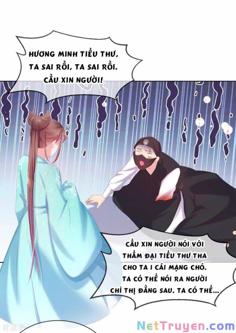 Thị Huyết Y Phi - Chương 74 - ảnh 9