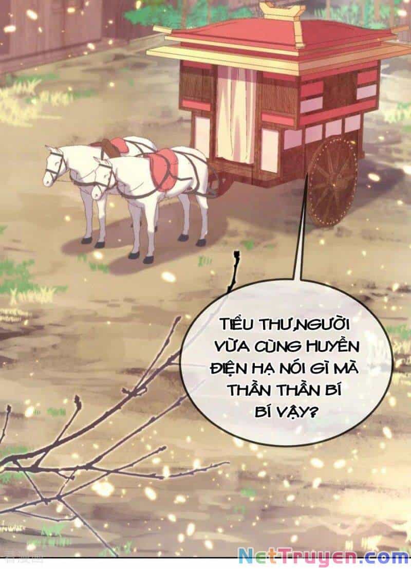 Thị Huyết Y Phi - Chương 76 - ảnh 2