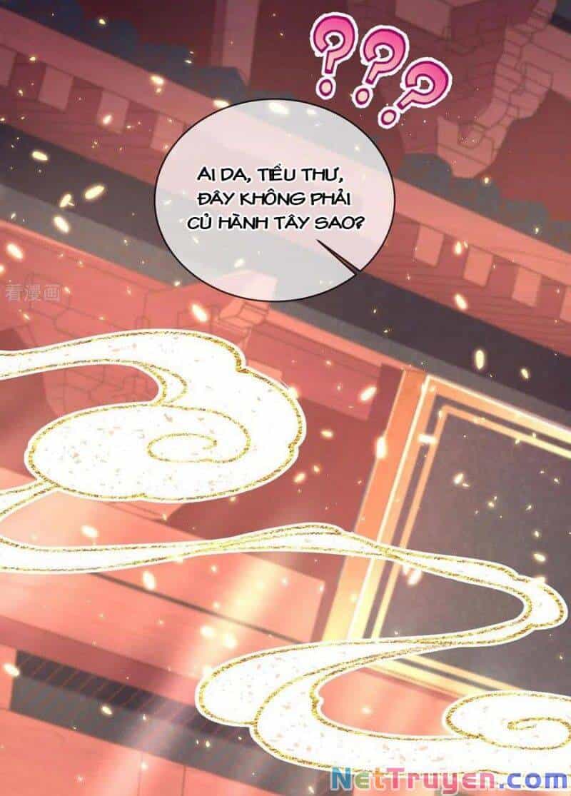 Thị Huyết Y Phi - Chương 77 - ảnh 4