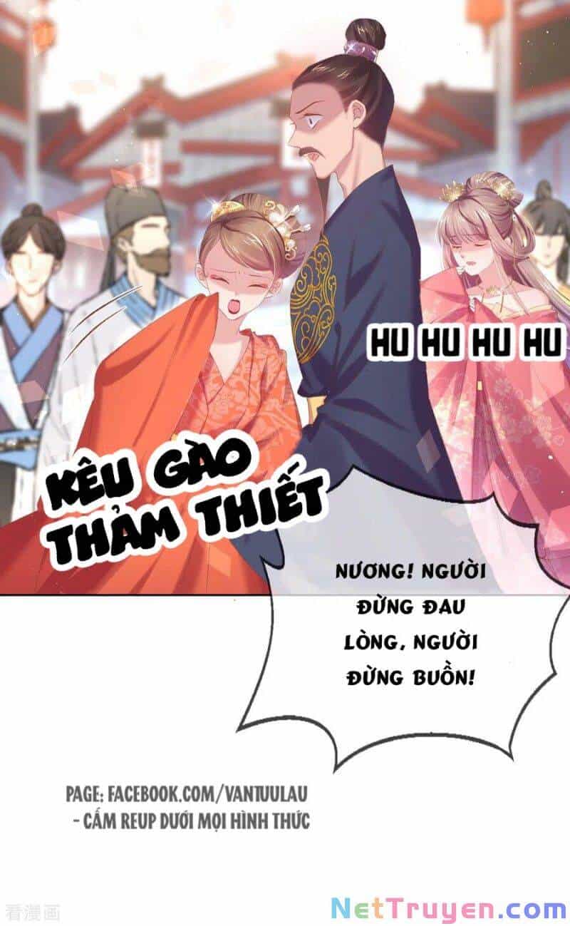 Thị Huyết Y Phi - Chương 78 - ảnh 4