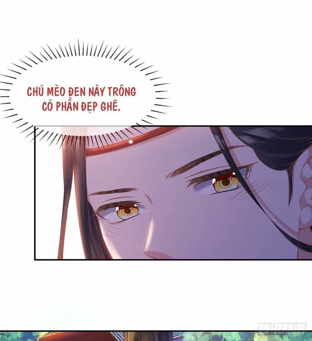Thị Huyết Y Phi - Chương 8 - ảnh 21
