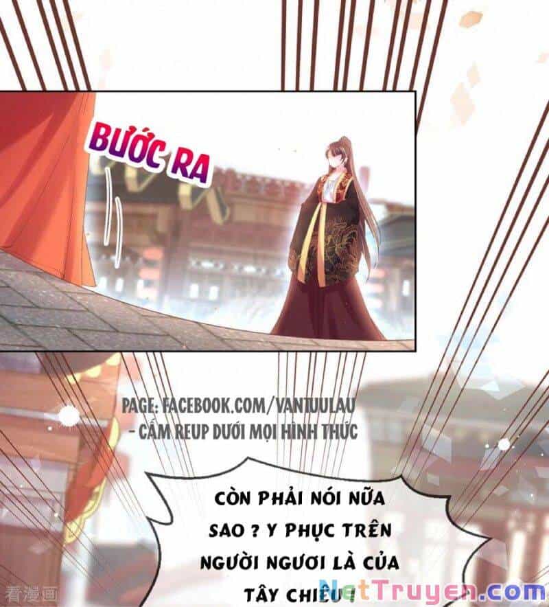 Thị Huyết Y Phi - Chương 79 - ảnh 2