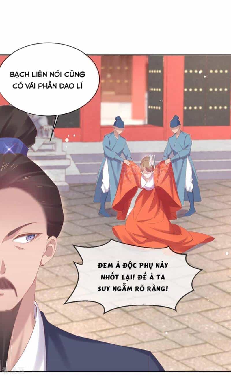 Thị Huyết Y Phi - Chương 80 - ảnh 14