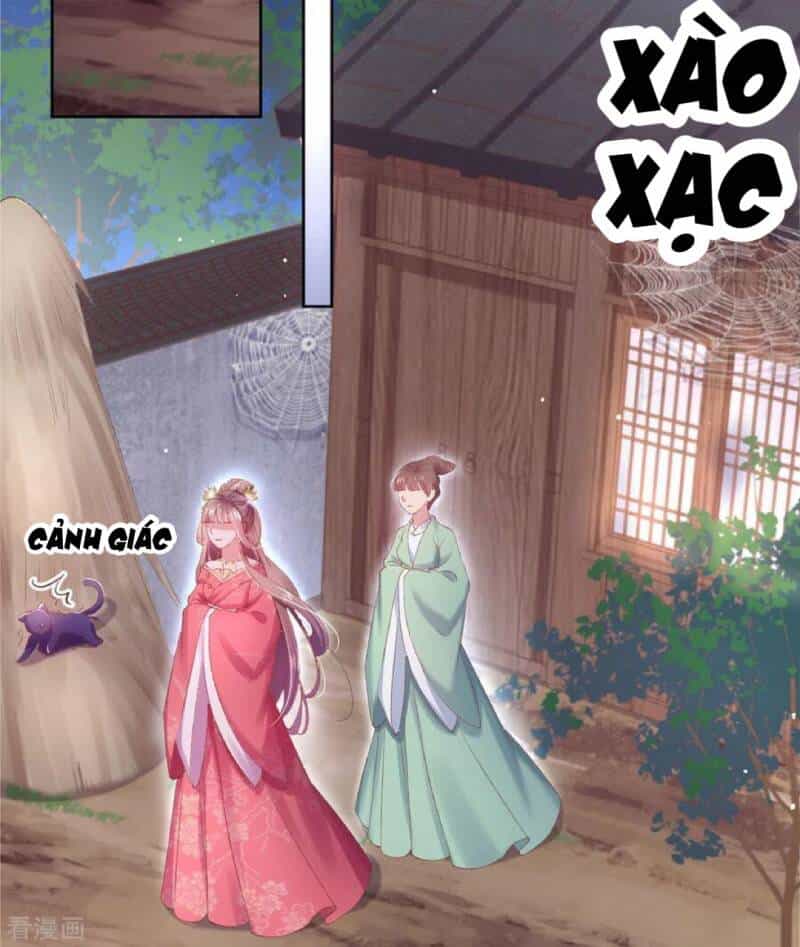 Thị Huyết Y Phi - Chương 81 - ảnh 17