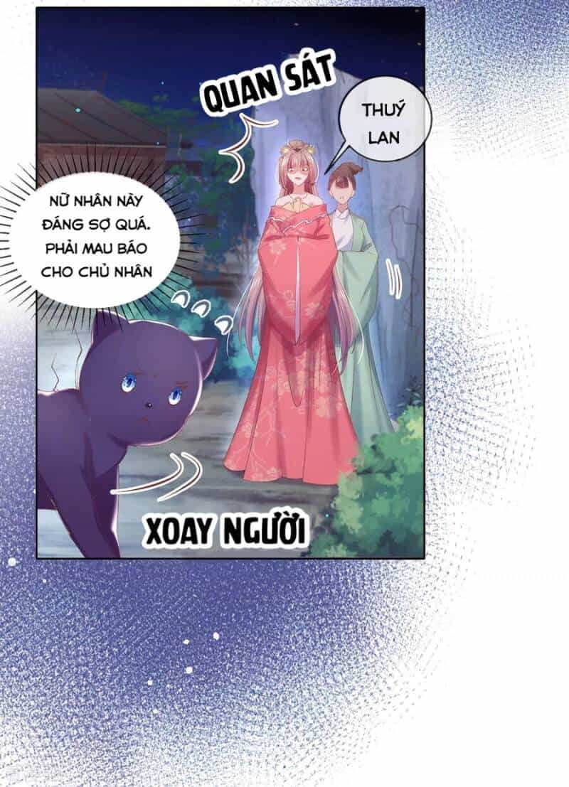 Thị Huyết Y Phi - Chương 81 - ảnh 19