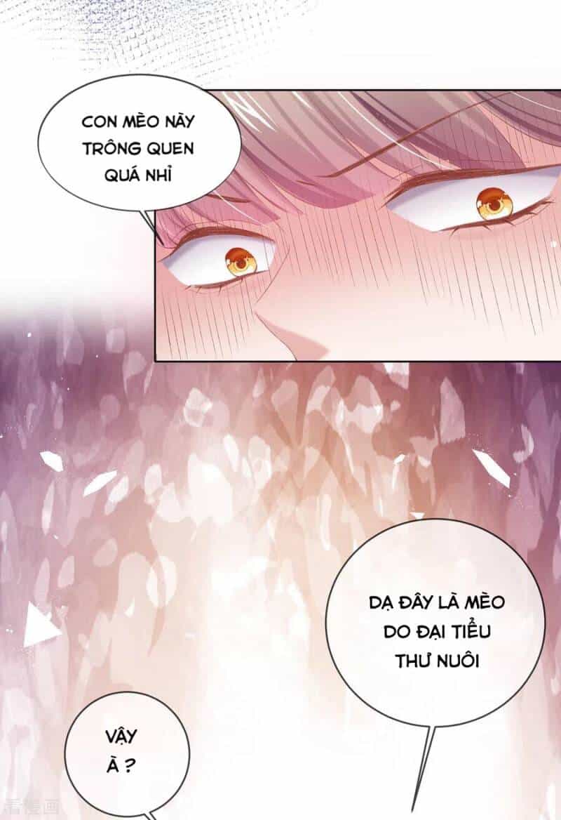 Thị Huyết Y Phi - Chương 81 - ảnh 20