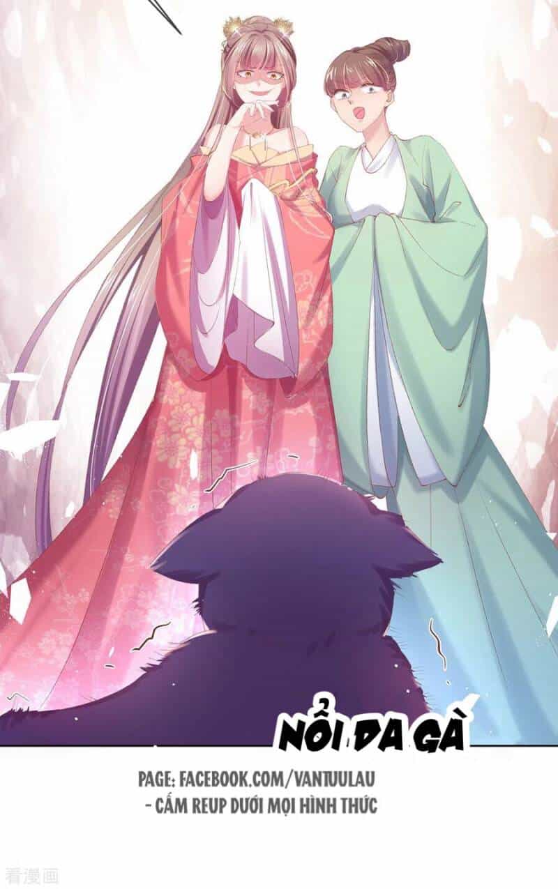 Thị Huyết Y Phi - Chương 81 - ảnh 21