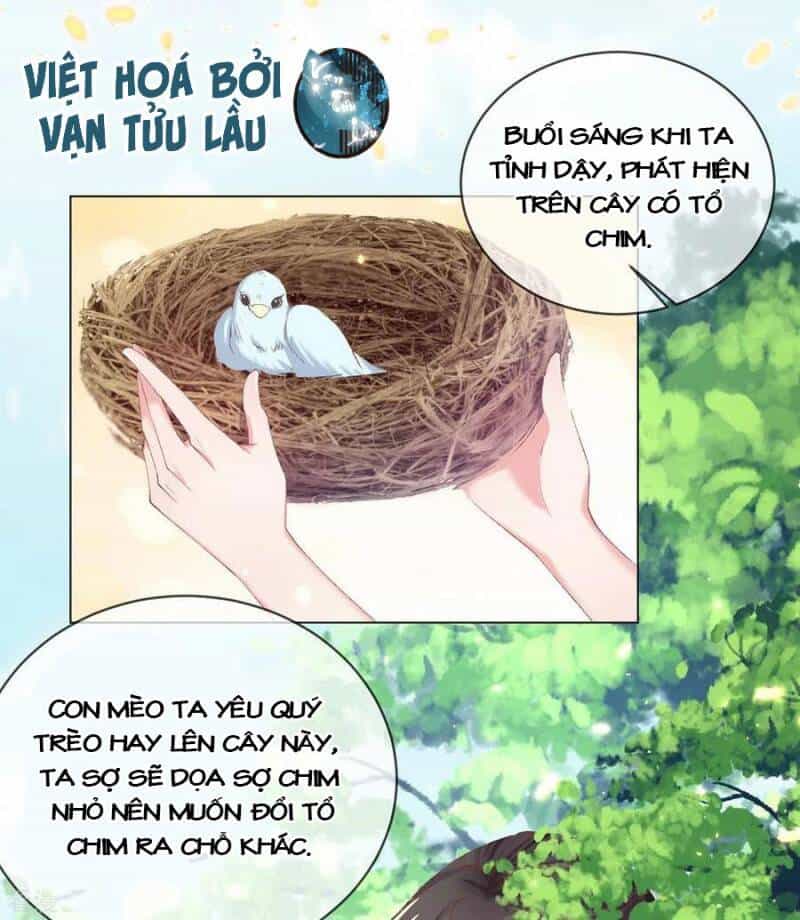 Thị Huyết Y Phi - Chương 82 - ảnh 7