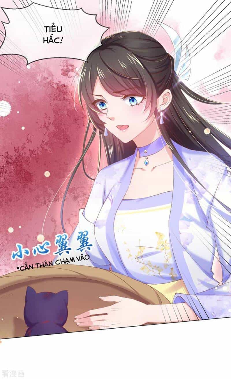 Thị Huyết Y Phi - Chương 88 - ảnh 23