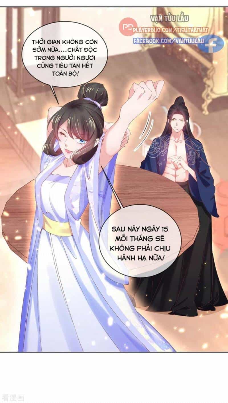 Thị Huyết Y Phi - Chương 98 - ảnh 1