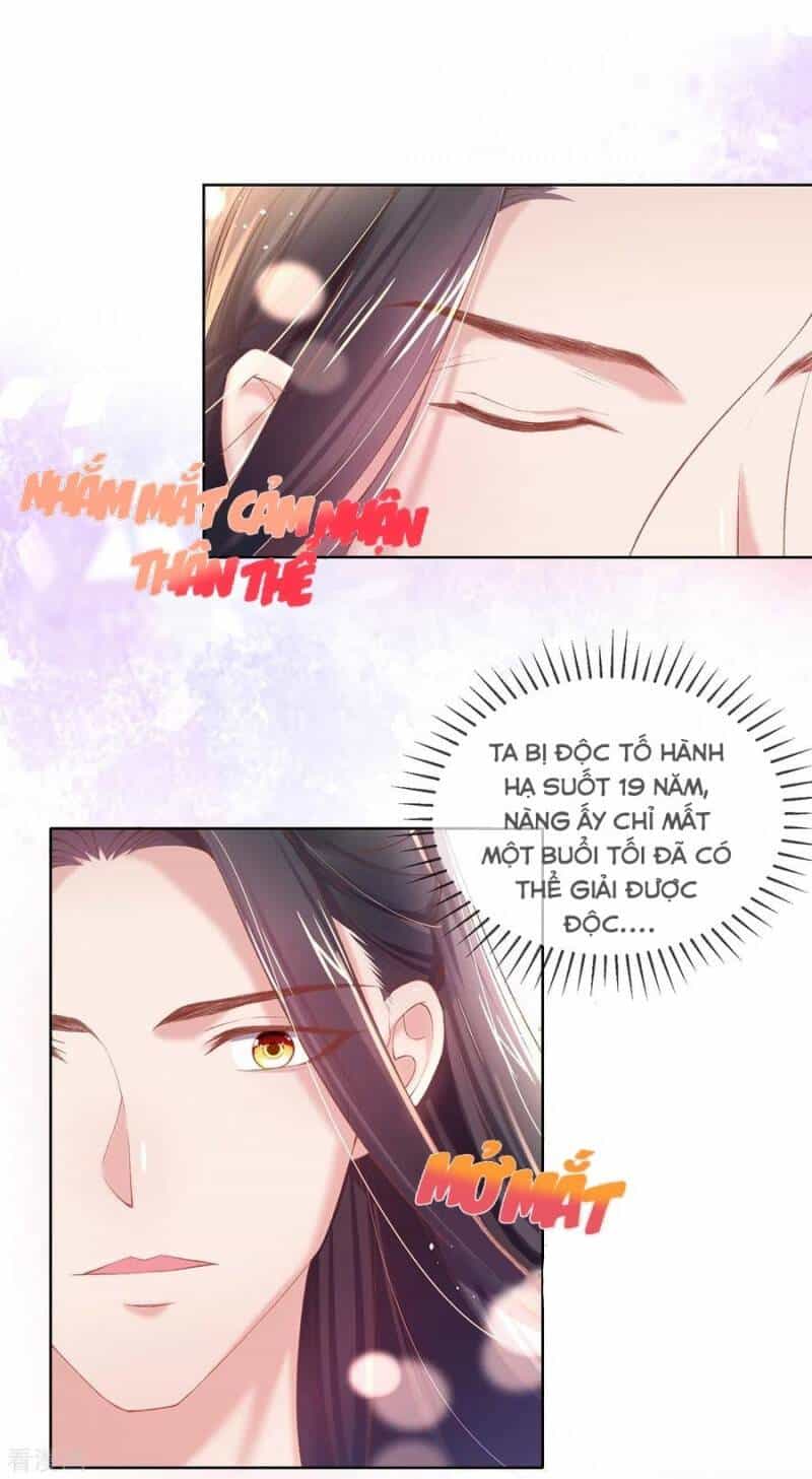Thị Huyết Y Phi - Chương 98 - ảnh 2
