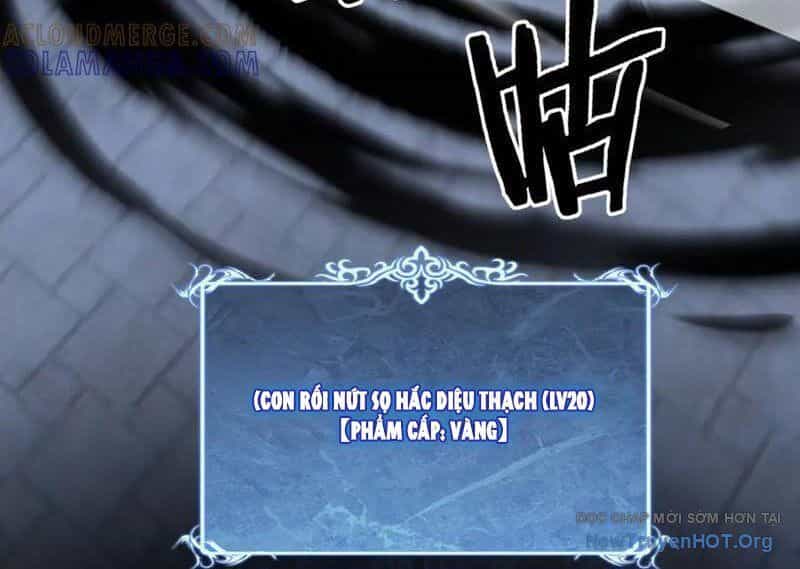 Thích Khách Thần Cấp, Ta Chính Là Bóng Đêm - Chương 45 - ảnh 37