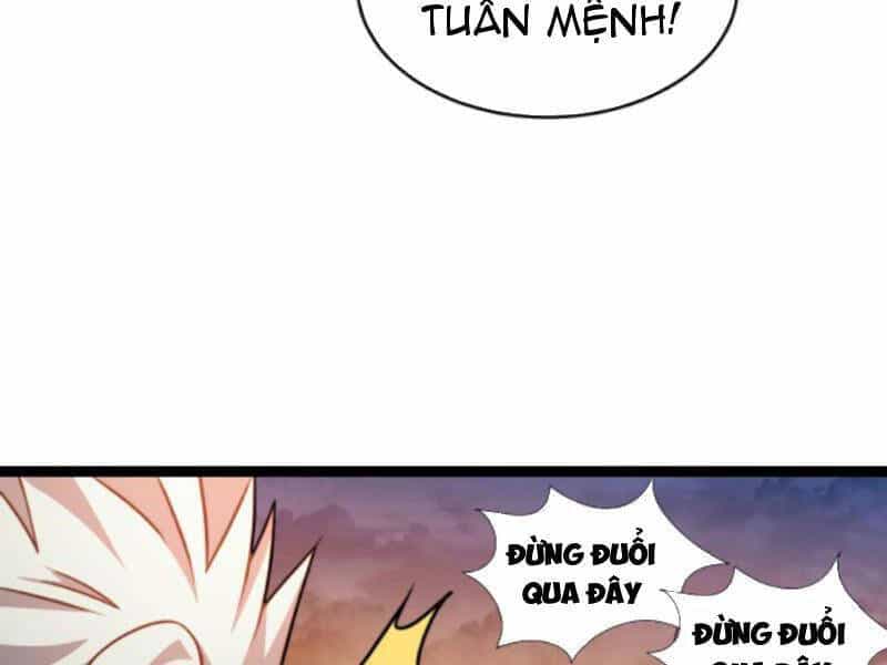 Thiên Khải Bại Gia - Chương 166 - ảnh 49