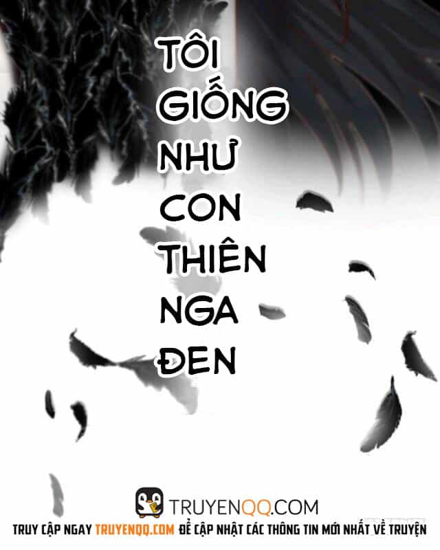 Thiên Nga Đen - Chương 0 - ảnh 12