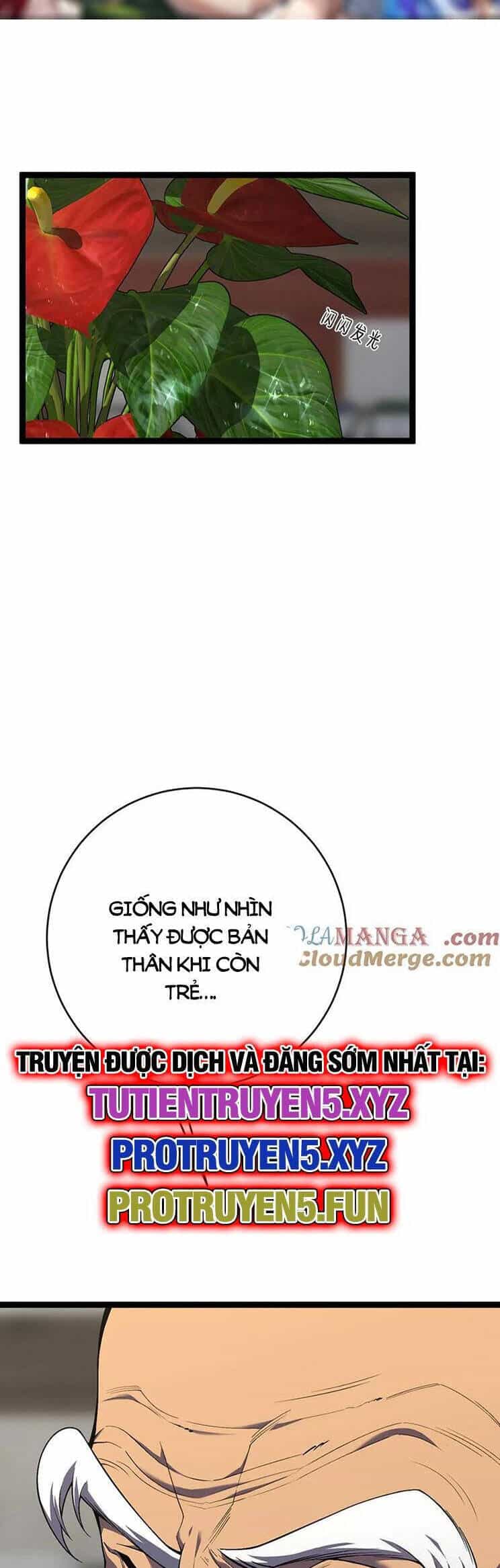 Thiên Phú Của Ngươi, Giờ Là Của Ta - Chương 75 - ảnh 6