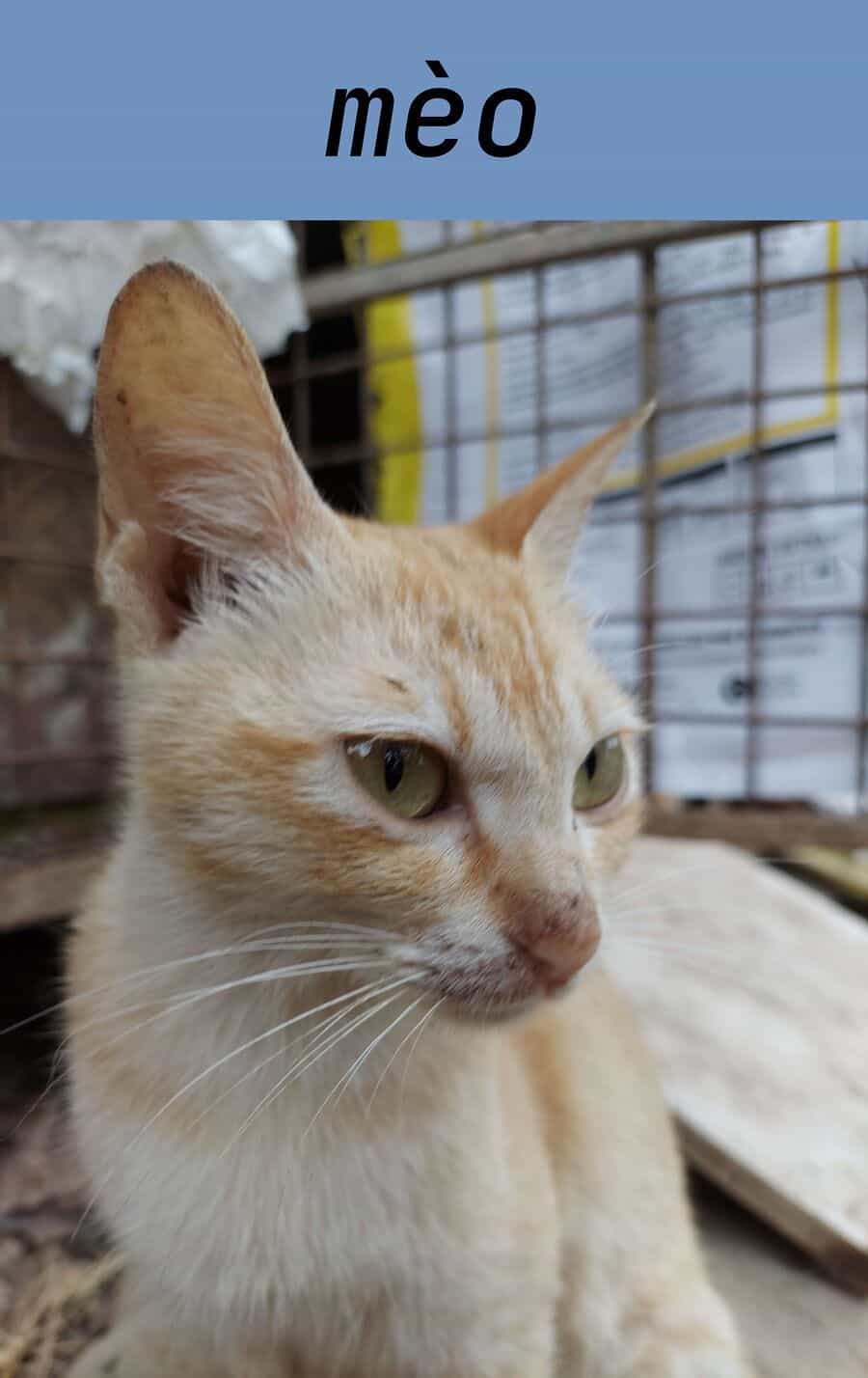 Thiên Sứ Nhà Bên - Chương 24.4 - ảnh 17