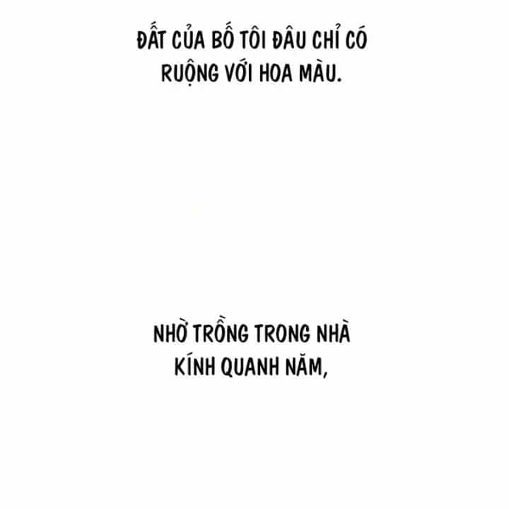 Thiên Tài Bình Dị - Chương 63 - ảnh 23