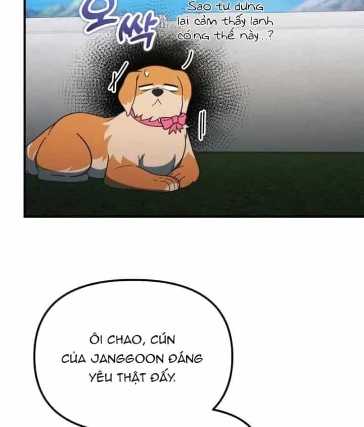 Thiên Tài Bình Dị - Chương 67 - ảnh 46