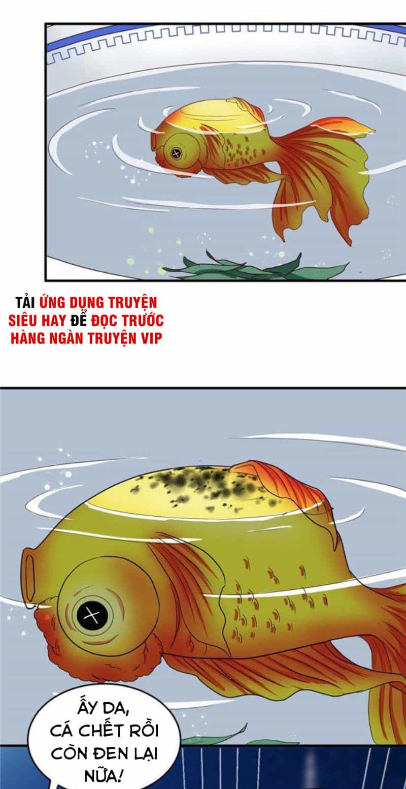 Thiên Tài Tiểu Độc Phi - Chương 108 - ảnh 11