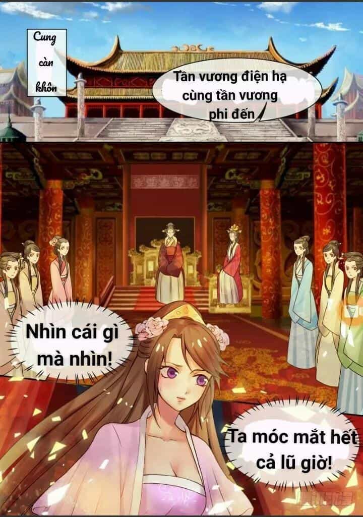 Thiên Tài Tiểu Độc Phi - Chương 10 - ảnh 4