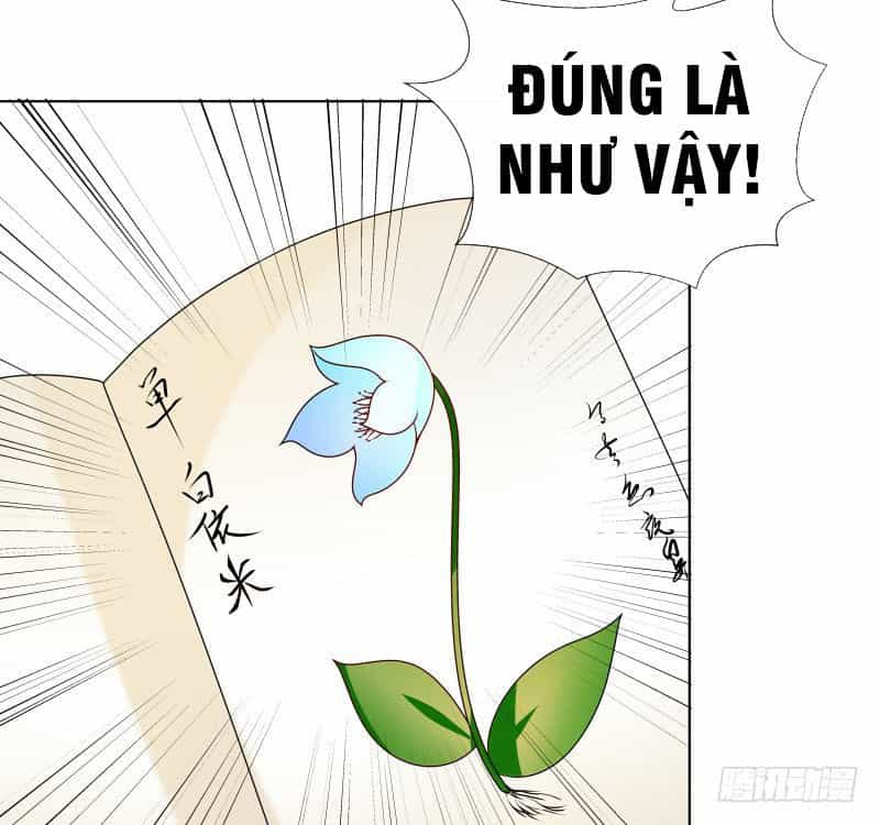 Thiên Tài Tiểu Độc Phi - Chương 59 - ảnh 11