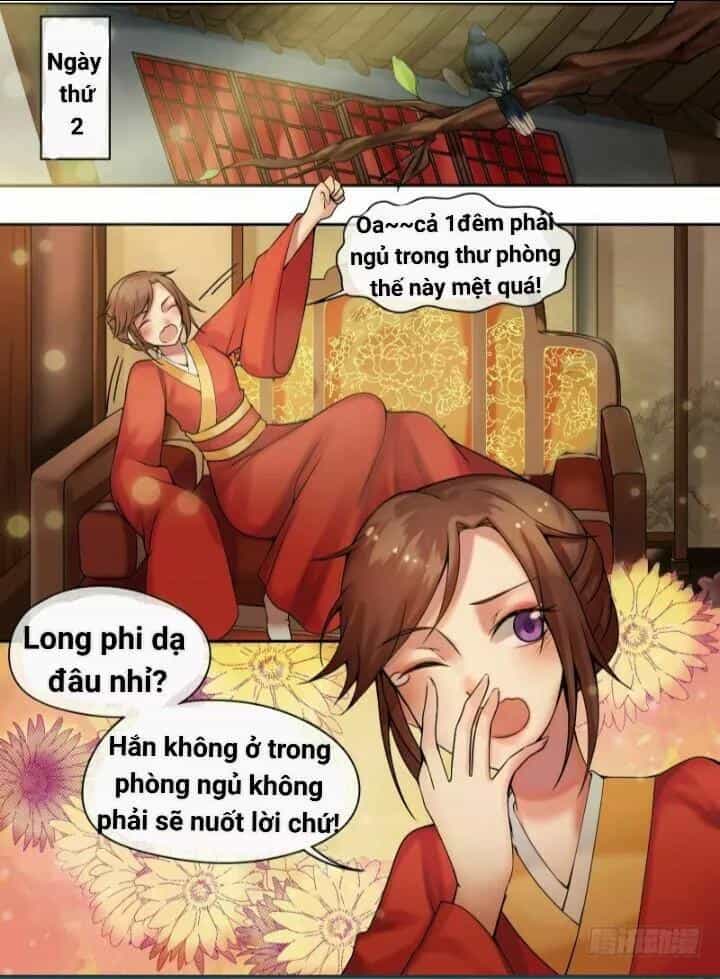 Thiên Tài Tiểu Độc Phi - Chương 8 - ảnh 2