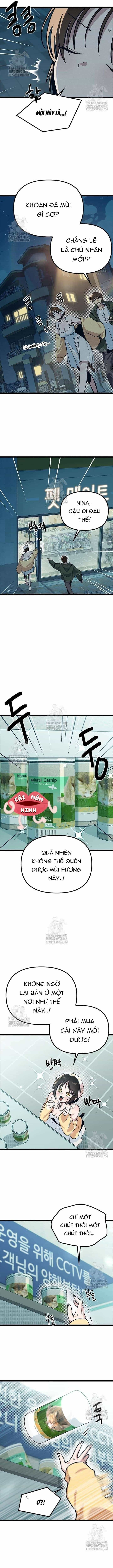 Thiếu Nữ 12 Con Giáp - Chương 21 - ảnh 14