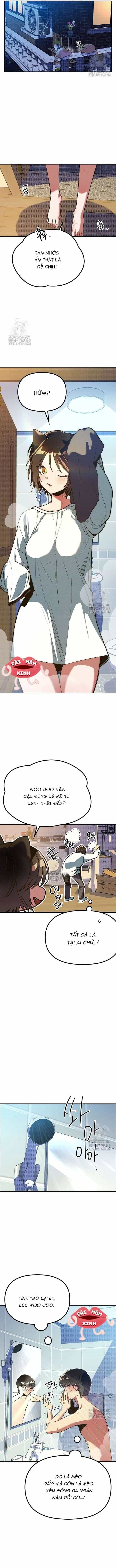 Thiếu Nữ Hoàng Đạo - Chương 5 - ảnh 3