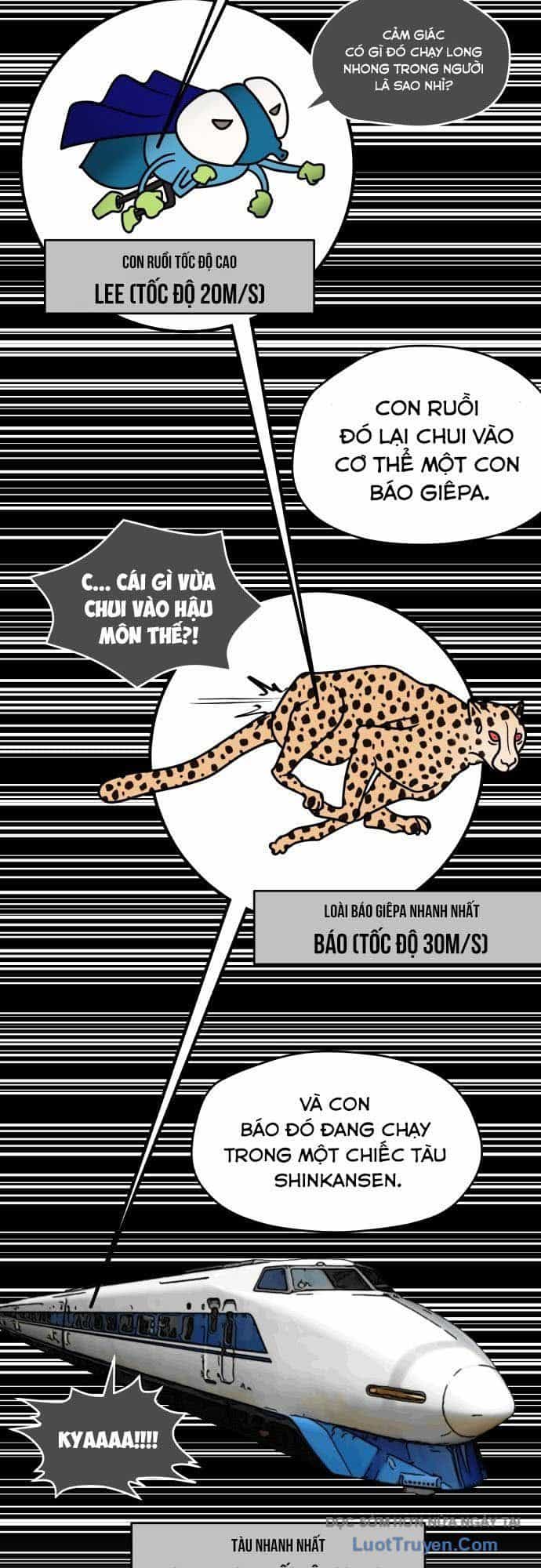 Thiếu Nữ Vượt Thời Gian - Chương 4 - ảnh 15